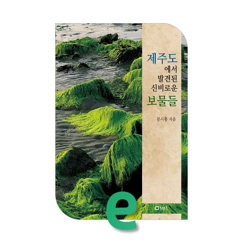 제주도에서 발견된 신비로운 보물들.jpg